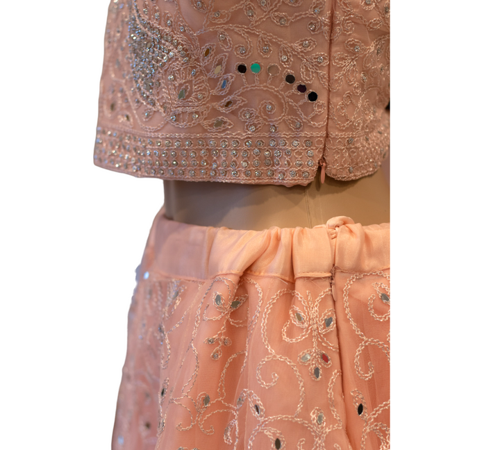 Partywear Lehenga Dress, Choli Blouse, and Net Dupatta Model 10 - Zenia Creations