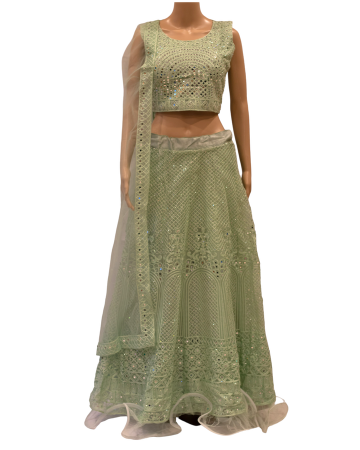 Partywear Lehenga Dress, Choli Blouse, and Net Dupatta Model 12 - Zenia Creations
