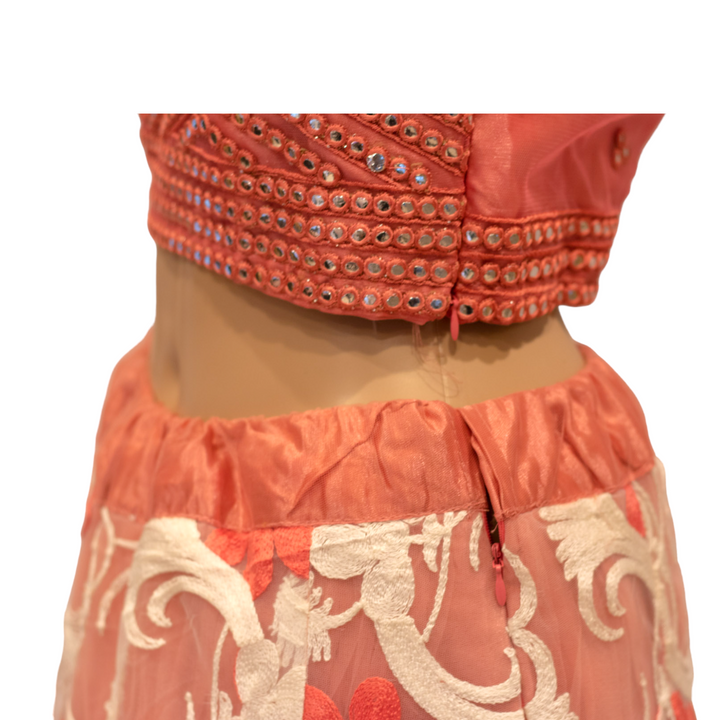 Partywear Lehenga Dress, Choli Blouse, and Net Dupatta Model 16 - Zenia Creations