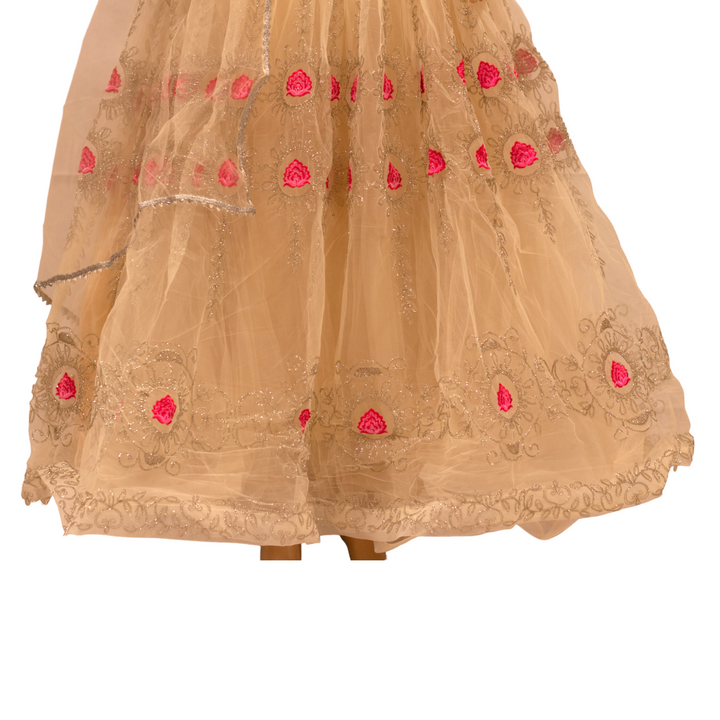 Partywear Cream Indian Gown Dress With Net Dupatta M60 - Zenia Creations