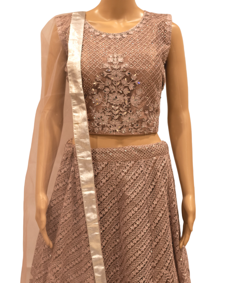 Partywear Lehenga Dress, Choli Blouse, and Net Dupatta Model 8 - Zenia Creations
