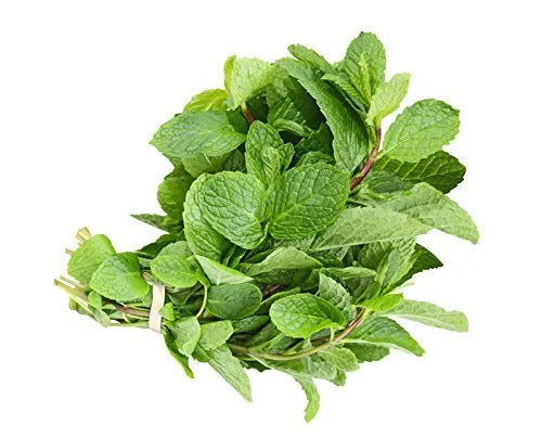 Spearmint Leaves (Pudina)