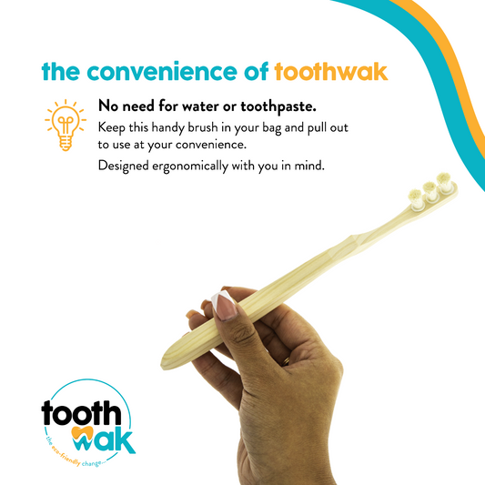 Toothwak Classic 2 Head For Beginners