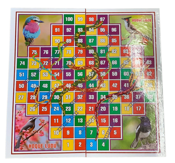 Large 2 in 1 Cardboard Snake and Ladders & Ludo board Game 30 x 30 inches